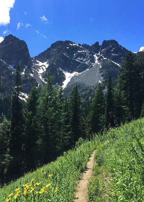 Cascades Greeting Card featuring the photograph The Cascade Alps Trail by Tim Dussault
