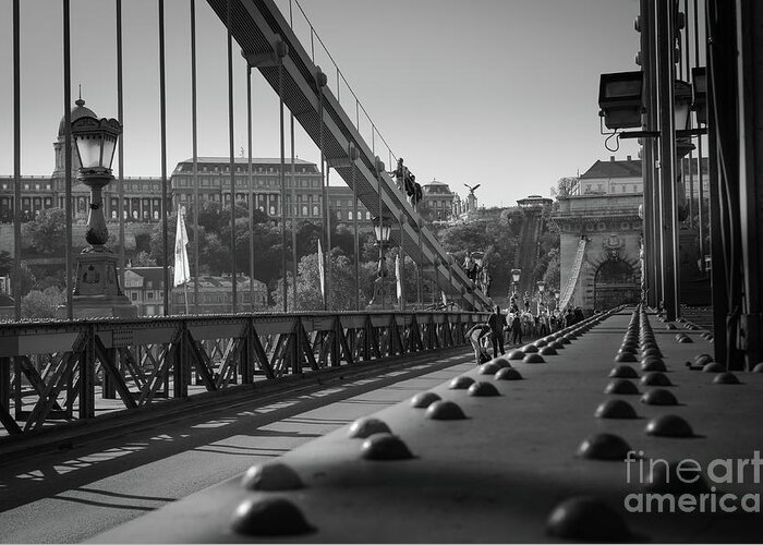 Chain Greeting Card featuring the photograph The Chain Bridge, Danube Budapest by Perry Rodriguez