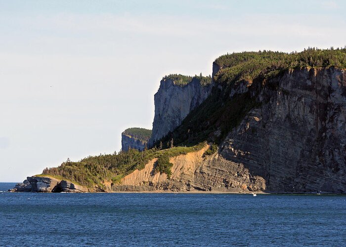 Forillon Greeting Card featuring the photograph The Cliffs of Forillon by John Meader