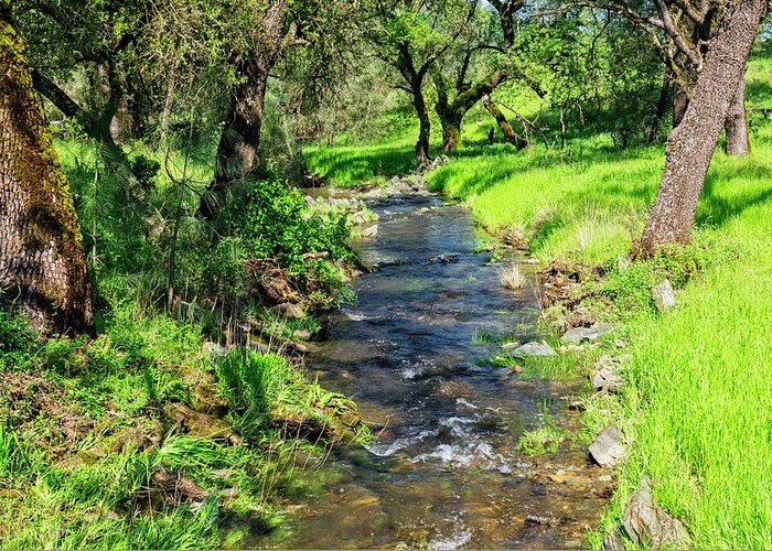Black Oak Greeting Card featuring the photograph The Creek by Jim Thompson