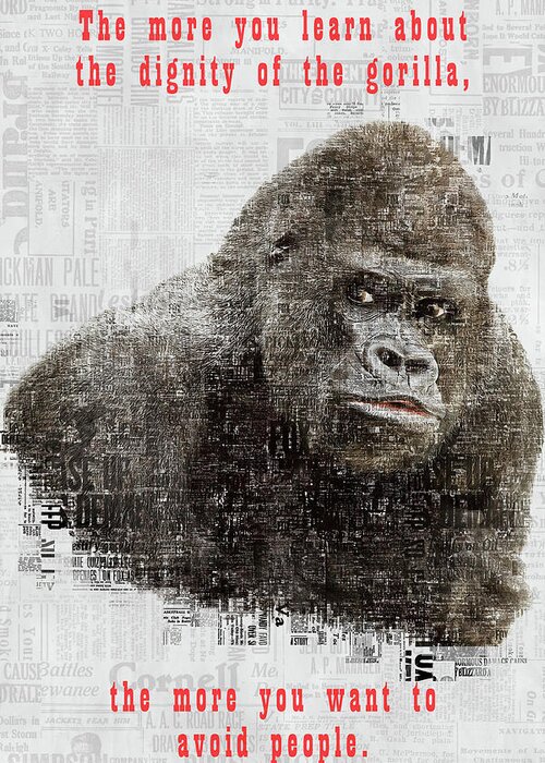 Gorilla Greeting Card featuring the photograph The Dignity of a Gorilla by Anthony Murphy