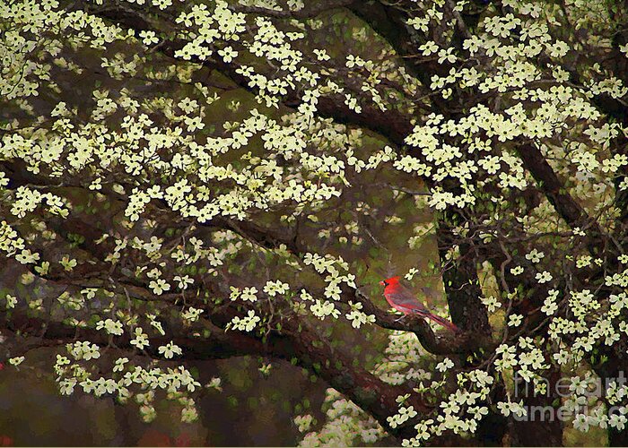 Bird Greeting Card featuring the digital art The Dogwoods and the Cardinal by Darren Fisher