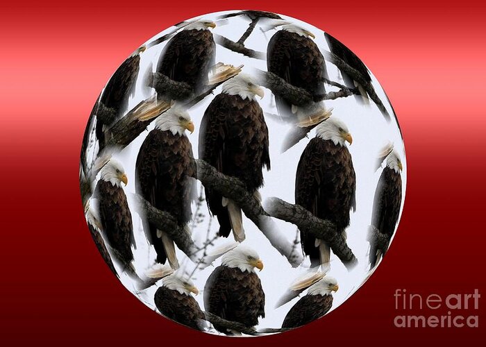 Eagles Greeting Card featuring the photograph The Eagles by Rick Rauzi