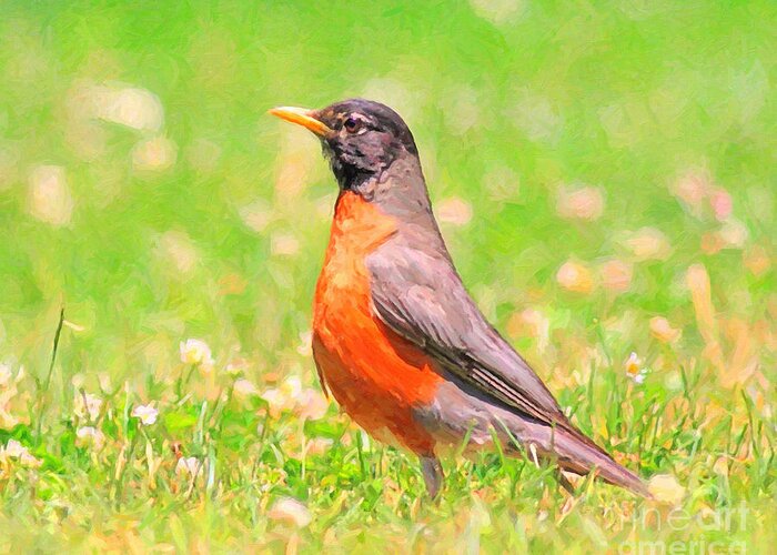 Robin Bird Greeting Card featuring the digital art The Early Bird by Wingsdomain Art and Photography