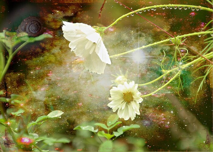 Cosmos Greeting Card featuring the photograph The Enchantment of Rain by Carol Senske