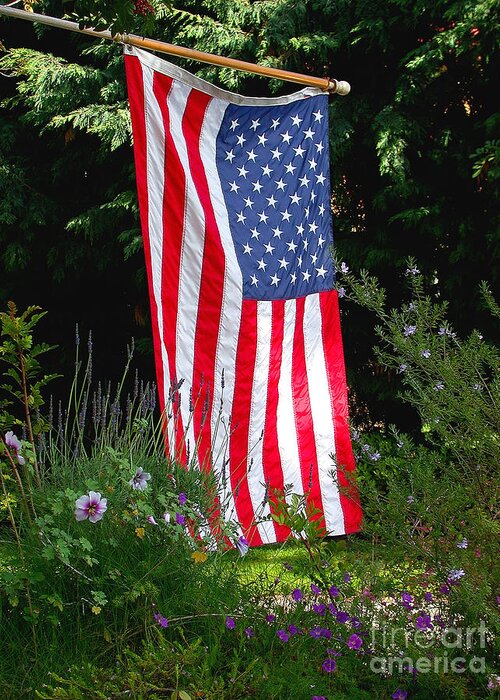 America Greeting Card featuring the photograph The Flag by Marc Bittan