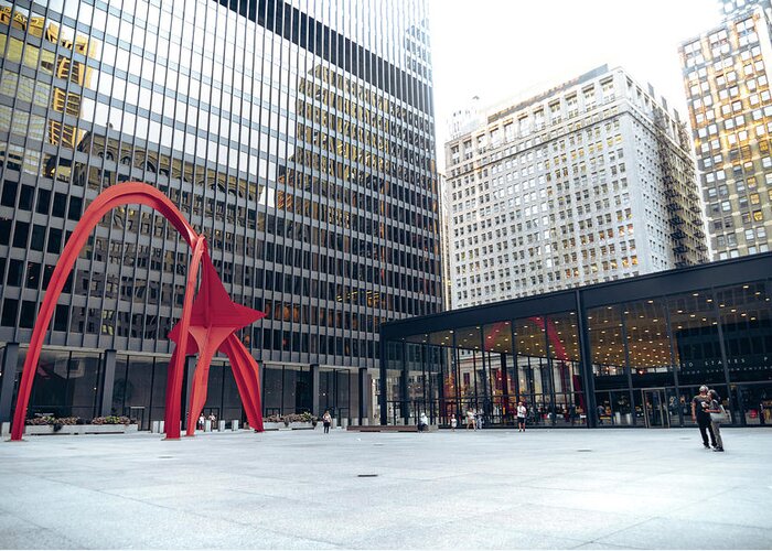 Chicago Greeting Card featuring the photograph The Flamingo by Nisah Cheatham