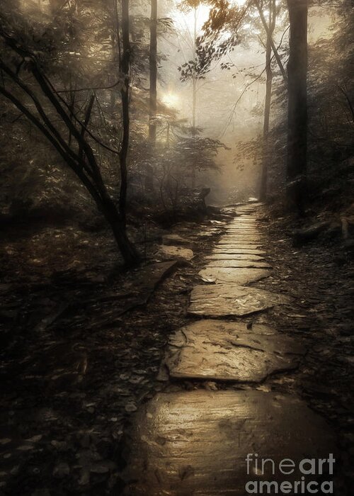 Path Greeting Card featuring the photograph The Golden Path by Lori Deiter
