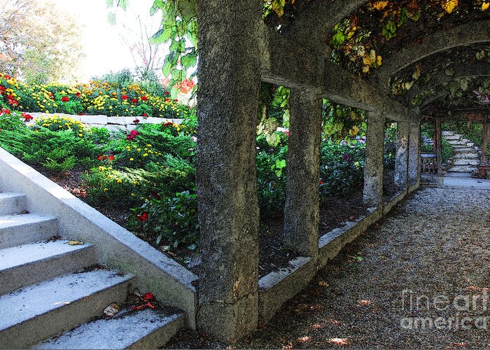 Landscape Greeting Card featuring the digital art The Grape Arbor Path by David Blank