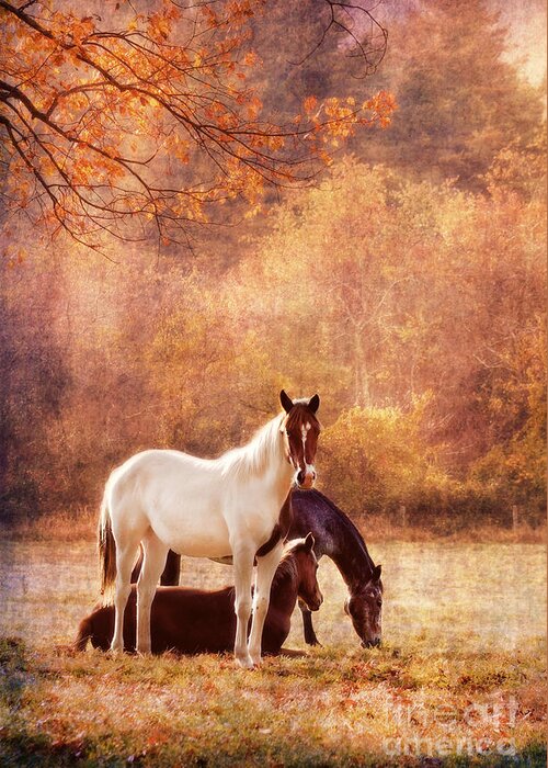 Horse Greeting Card featuring the photograph The Guardians by Darren Fisher