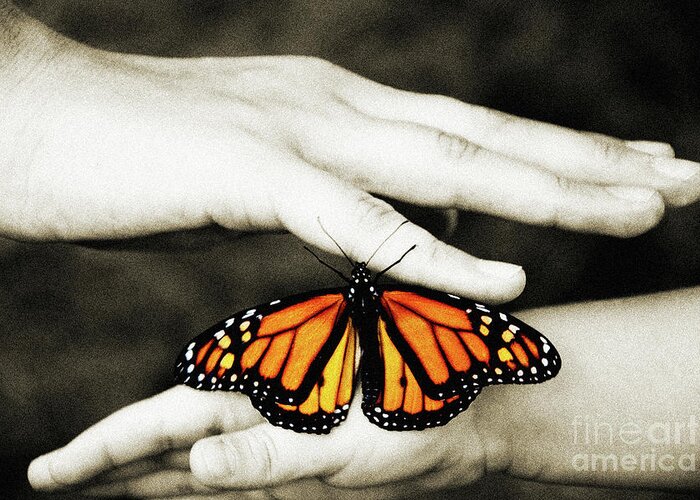 Monarch Butterfly Greeting Card featuring the photograph The Hands And The Butterfly by Andee Design