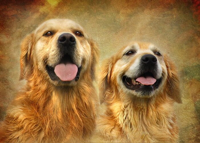 Golden Retriever Greeting Card featuring the photograph The Happy Couple by Trudi Simmonds