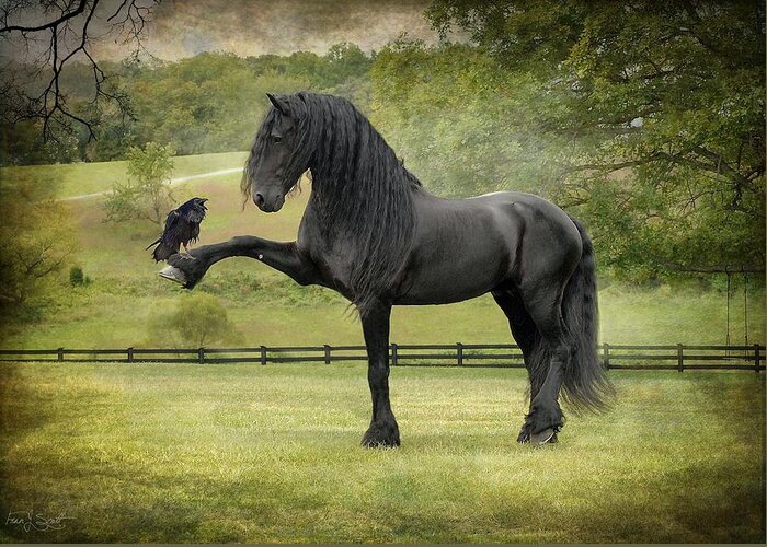 Friesian Horses Greeting Card featuring the photograph The Harbinger by Fran J Scott