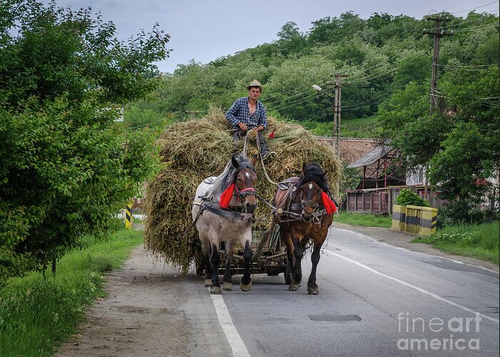 Hay Greeting Card featuring the photograph The Hay Cart, Romania by Perry Rodriguez