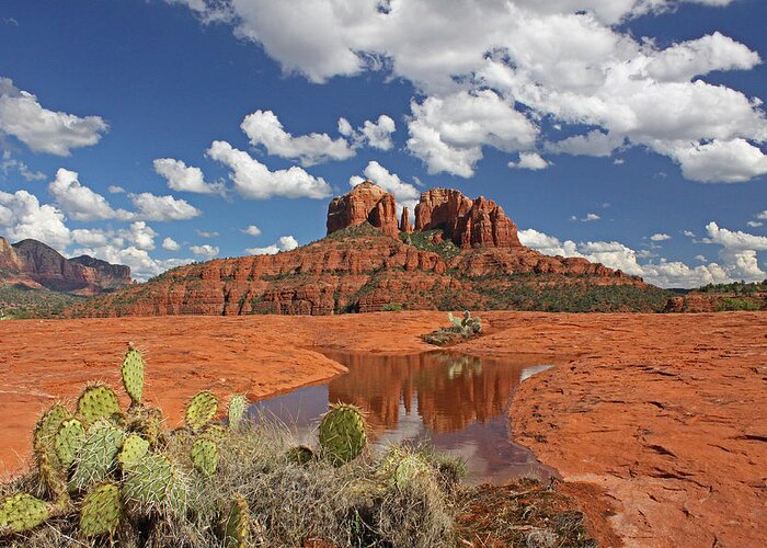 Sedona Greeting Card featuring the photograph The High Desert Drinks by Gary Kaylor