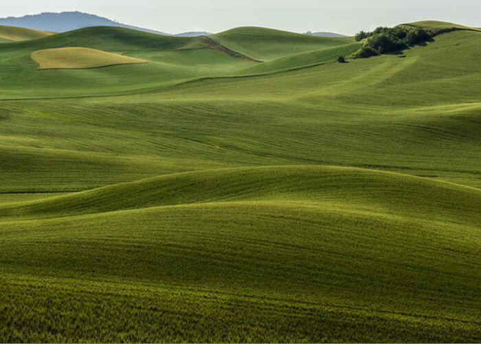 Agriculture Greeting Card featuring the photograph The Hills Speak by Jon Glaser