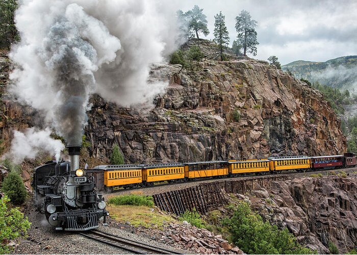Durango Silverton Train Greeting Card featuring the photograph The Last Bend by Denise Bush