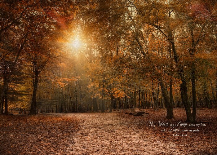 Autumn Greeting Card featuring the photograph The Light by Robin-Lee Vieira