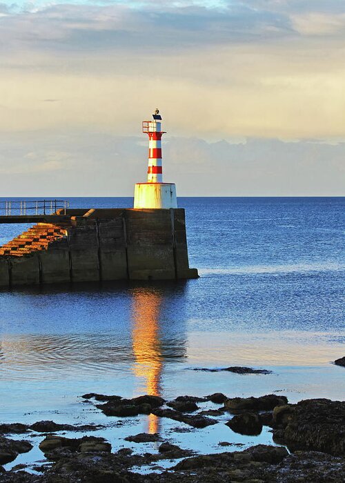 Lighthouse Greeting Card featuring the photograph The Lighthouse At Amble by Jeff Townsend
