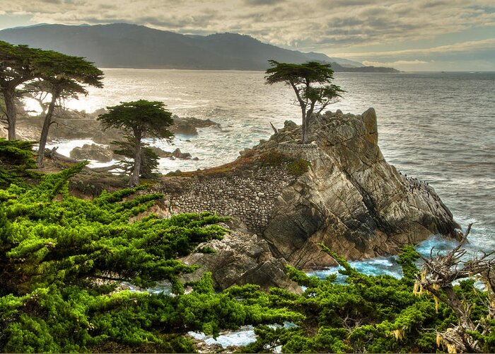 17 Mile Dr. Carmel Greeting Card featuring the photograph The Lone Cypress Carmel California by Connie Cooper-Edwards