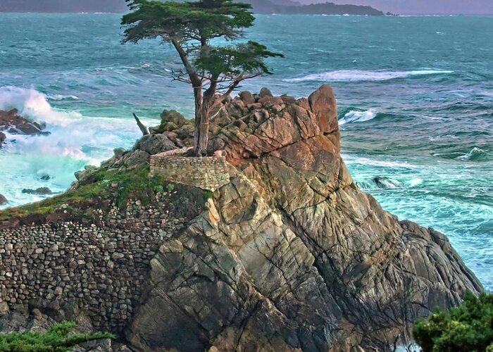 Photography By Suzanne Stout Greeting Card featuring the photograph The Lone Cypress by Suzanne Stout