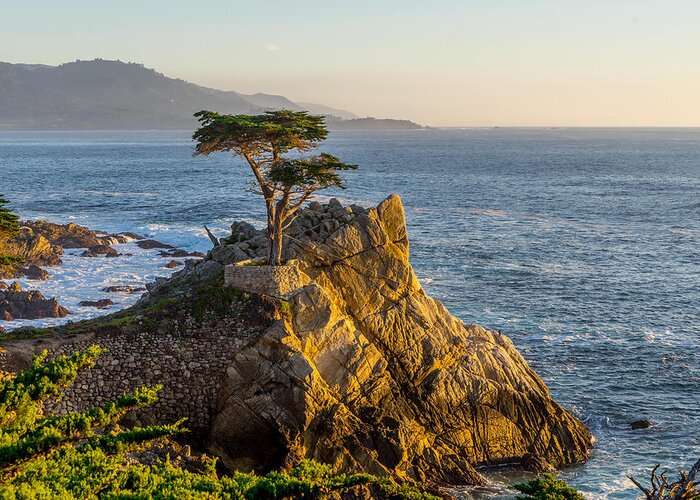 Pebble Beach Greeting Card featuring the photograph The Lonely Cypress by Derek Dean