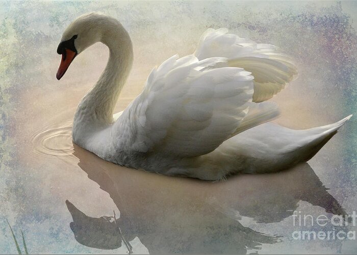 Swan Greeting Card featuring the photograph The Magical Swan by Bob Christopher