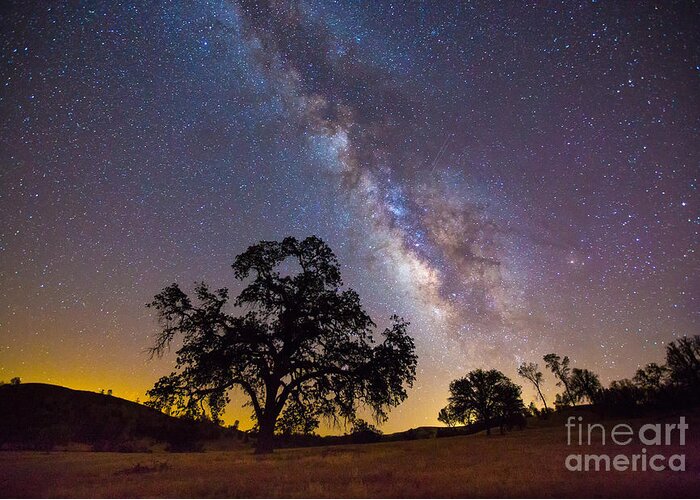 Milky Way Greeting Card featuring the photograph The Milky Way And Perseids by Mimi Ditchie