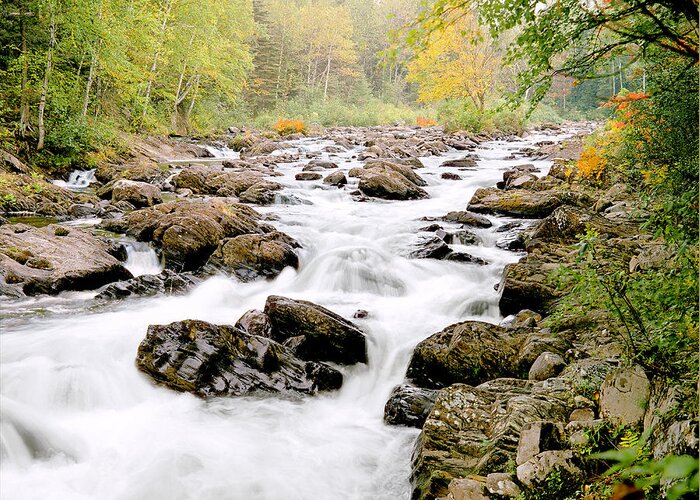 Stream Greeting Card featuring the photograph The Nymphs of Moxie Stream Photo by Peter J Sucy