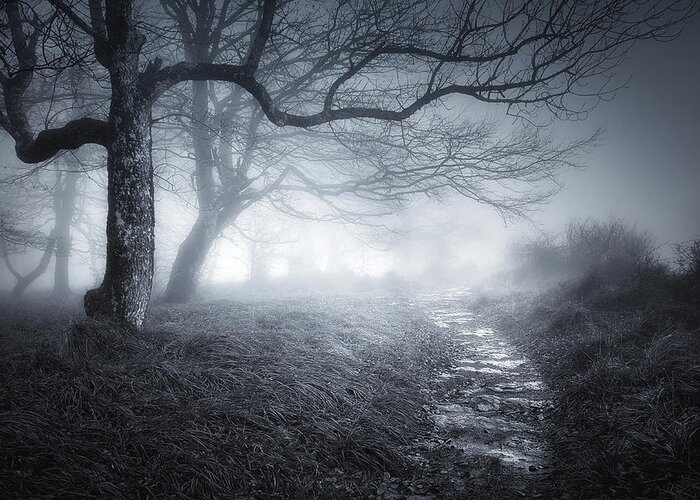 Scary Greeting Card featuring the photograph The old forest by Mikel Martinez de Osaba