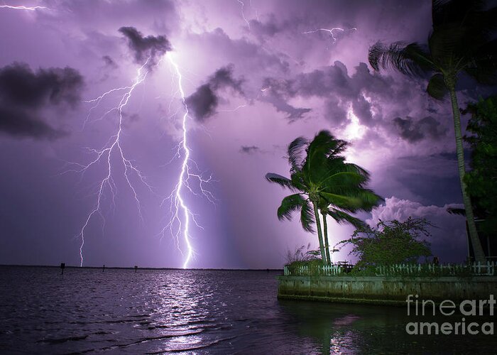 Lightning Greeting Card featuring the photograph The Palms by Quinn Sedam