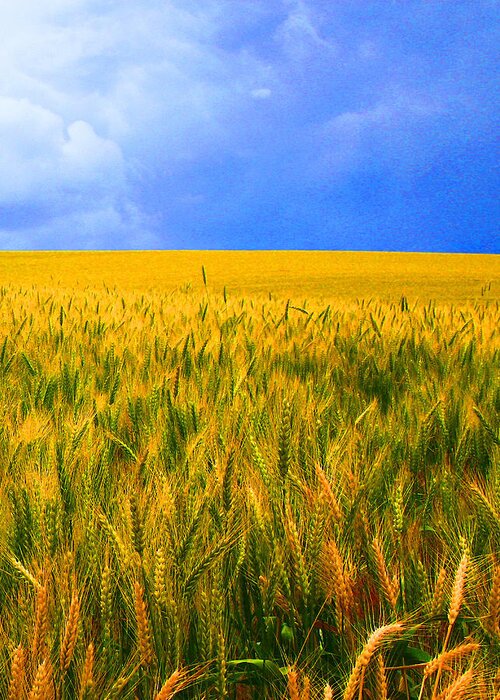 Palouse Greeting Card featuring the photograph The Palouse Wheat Fields by Margaret Hood