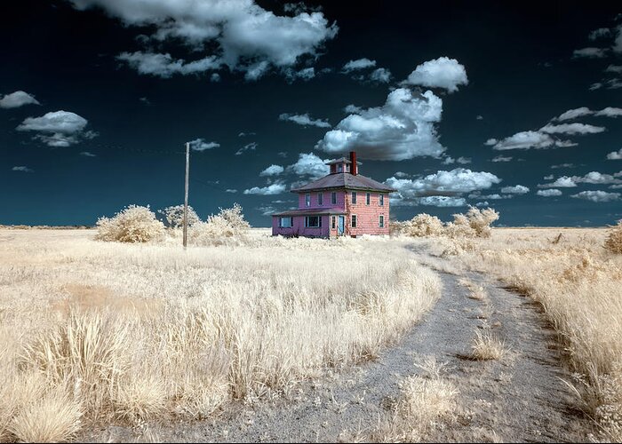 Hale Spectrum Halespectrum Halespectrum2.0 2.0 Clouds Cloudy Bush Bushes Trees Sky Grass Color Infrared Colour Ir Infra Red Outside Outdoors Nature Natural Partial Architecture Brian Hale Brianhalephoto Ma Mass Massachusetts U.s.a. Usa The Pink House Cape Elizabeth Plum Island Double Exposure Iconic Historic Greeting Card featuring the photograph The Pink House in HaleSpectrum 1 by Brian Hale