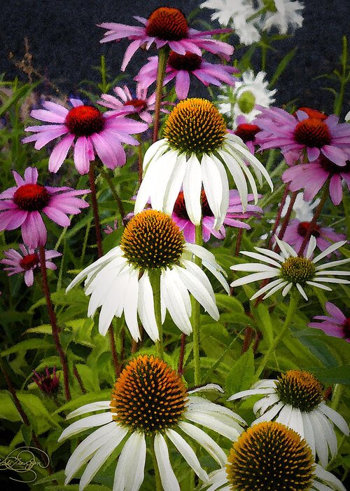 Echinacea Greeting Card featuring the digital art The Promise of Spring by Vicki Lea Eggen
