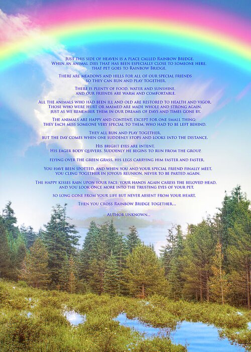 Rainbow Bridge Greeting Card featuring the photograph The Rainbow Bridge Poem by Mark Andrew Thomas