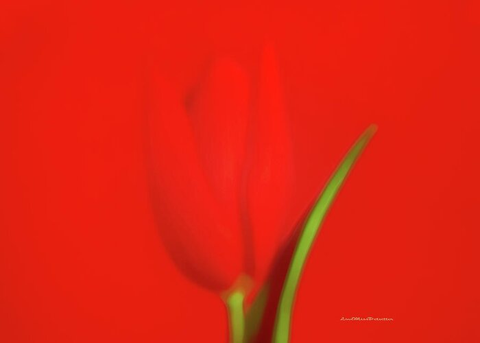 Art Greeting Card featuring the digital art The Red Tulip Art Photograph by Miss Pet Sitter