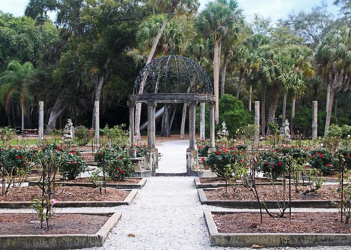 John And Mabel Ringling Estate Greeting Card featuring the photograph The Ringling Rose Garden by Michiale Schneider