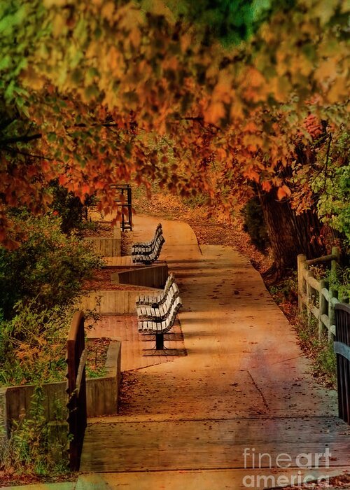 Park Benches Greeting Card featuring the photograph The Sound of Silence by Joan Bertucci