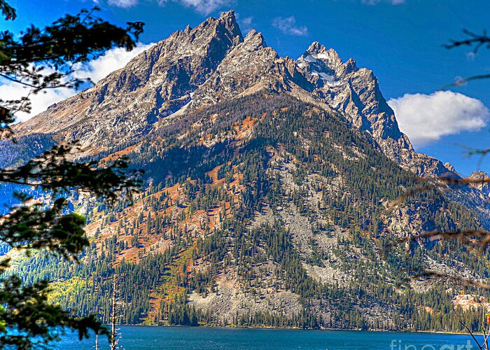 Mountain Art Greeting Card featuring the photograph The Teton Gem by Robert Pearson