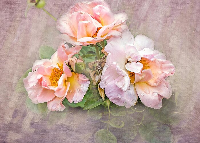 Rose Greeting Card featuring the photograph The Three of Us by Betty LaRue