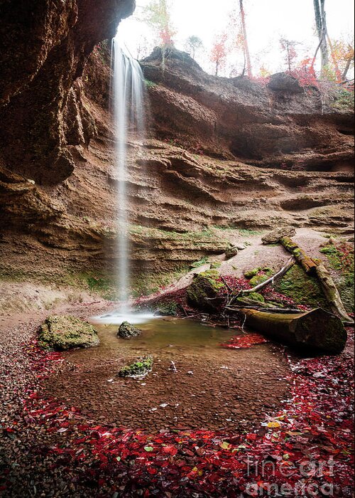 Autumn Greeting Card featuring the photograph The Tiny Waterfall by Hannes Cmarits