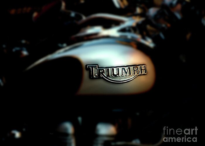 Triumph Greeting Card featuring the photograph The Triumph by Steven Digman