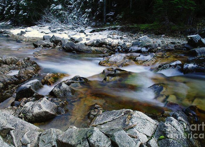 Water Greeting Card featuring the photograph The Trotting Song Of Small Rapids by Jeff Swan