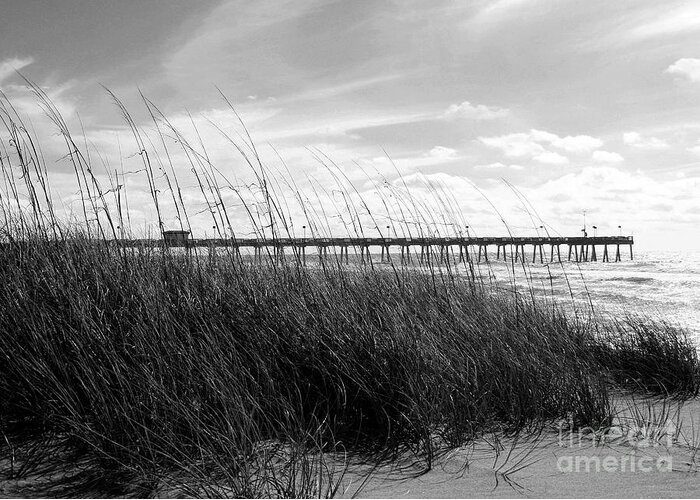 Photo For Sale Greeting Card featuring the photograph The Venice Fishing Pier by Robert Wilder Jr