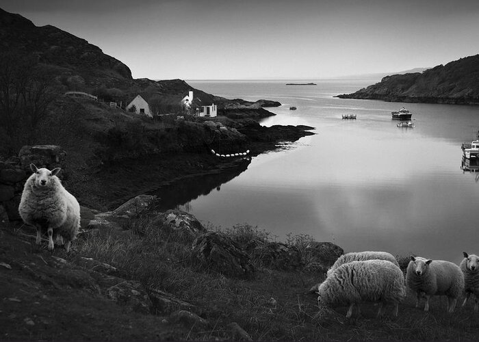 Applecross Peninsula Greeting Card featuring the photograph The Village by Dorit Fuhg
