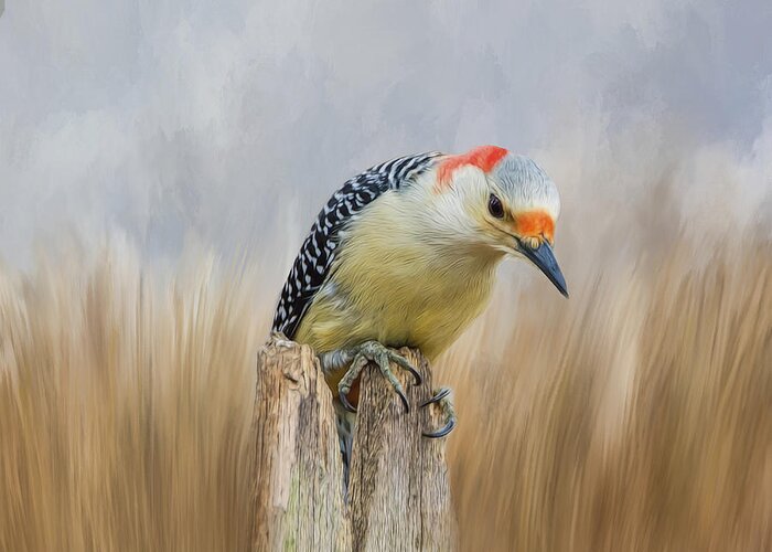 Woodpecker Greeting Card featuring the photograph The Woodpecker by Cathy Kovarik