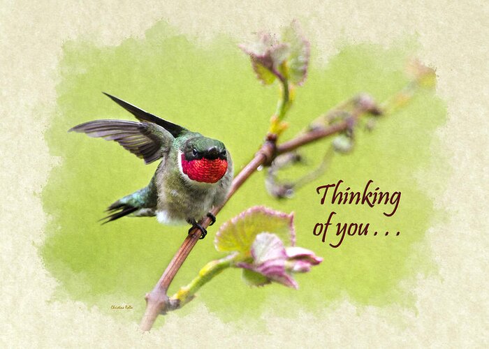 Thinking Of You Greeting Card featuring the mixed media Thinking of You Hummingbird Wing and a Prayer Greeting Card by Christina Rollo