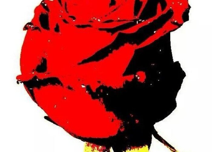  Greeting Card featuring the photograph This Rose Is Red
but Violets Aren't by Ant Jones