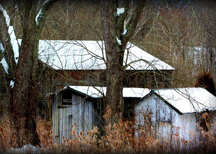 Three Greeting Card featuring the photograph Three Barns by Susie Weaver