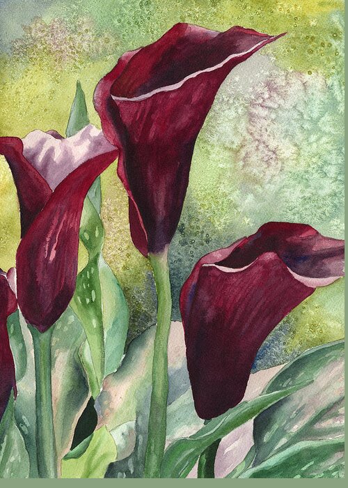 Calla Lily Painting Greeting Card featuring the painting Three Callas by Anne Gifford
